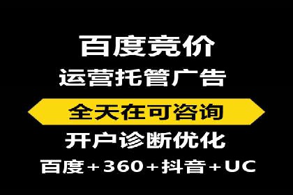 成功运用SEM技术提升网站流量的案例研究